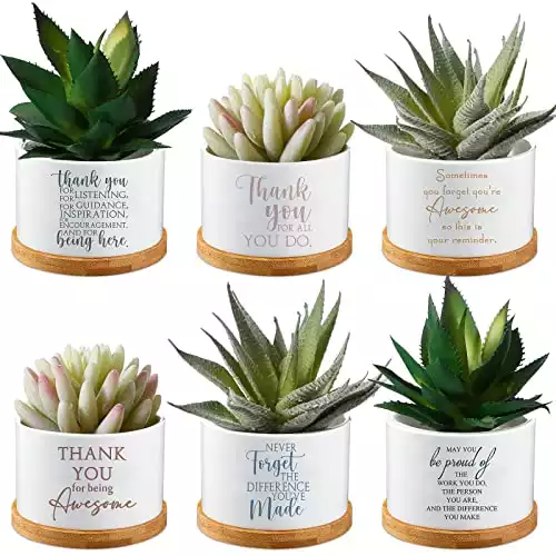 6 Pcs Succulent Pots Thank You Gift Ceramic Succulent Planters with Bamboo Tray and Drainage