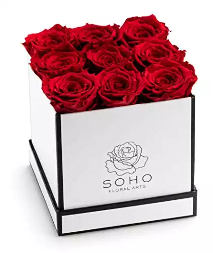 SOHO FLORAL ARTS New Roses Preserved Flowers